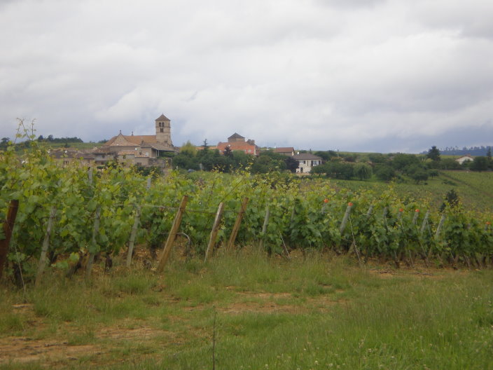 2008 juin bourgogne 057.jpg